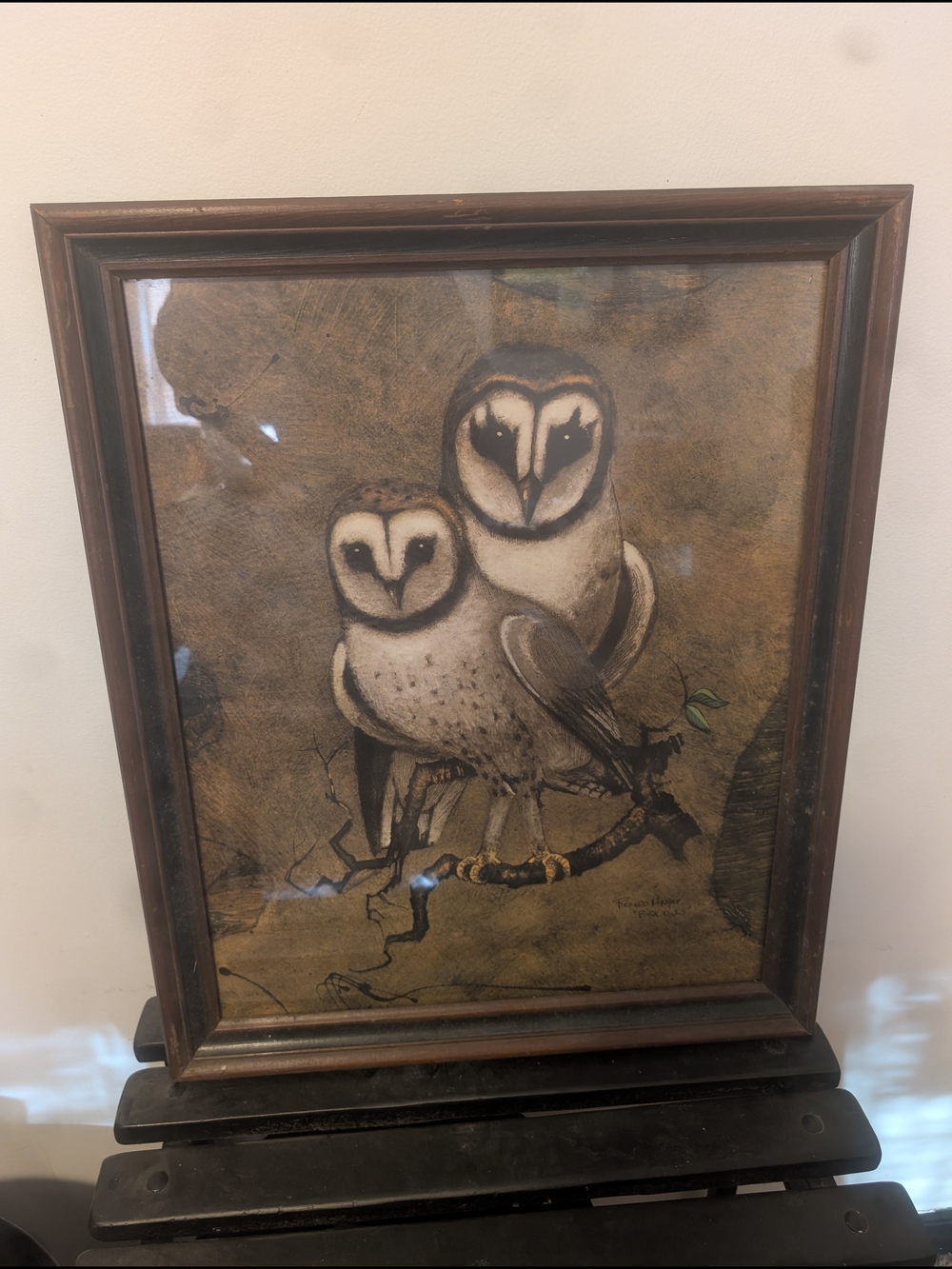 Framed Barn Owl Art Print in Brown and Cream